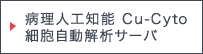 病理人工知能細胞自動解析サーバCu-Cyto