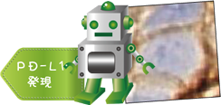PD-L1 発現カウント